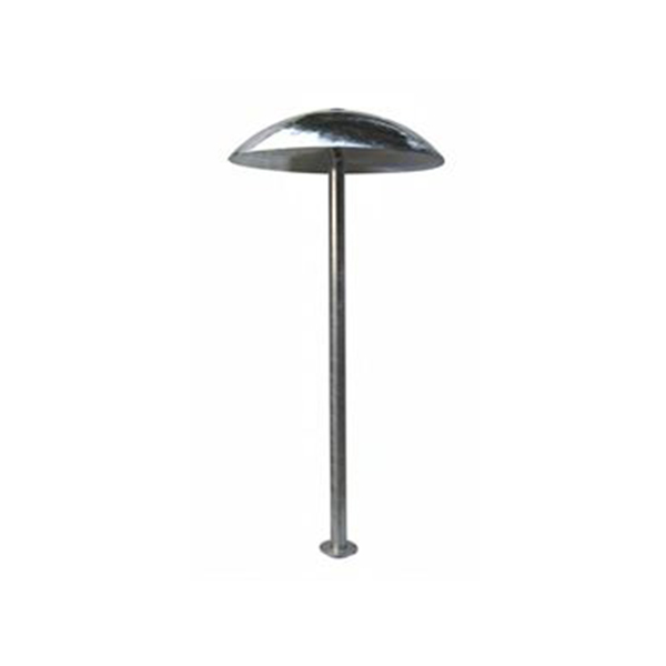 WATER MUSHROOM - Image 2